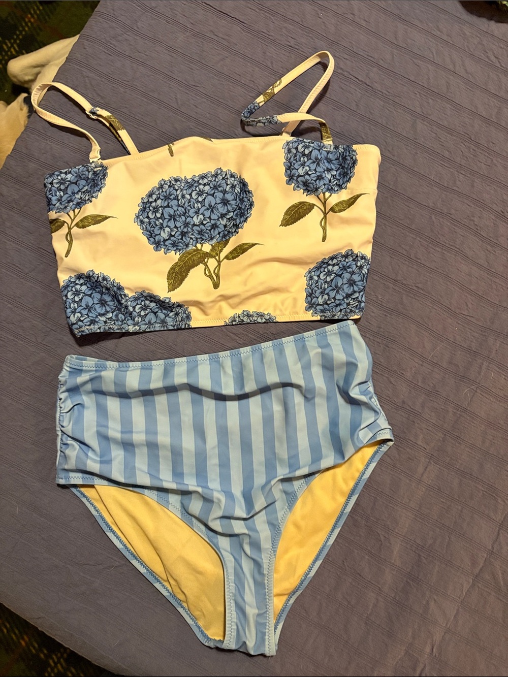 Pink Chicken Blue Hydrangea Floral Bikini Top and Striped High-Waist Bottom